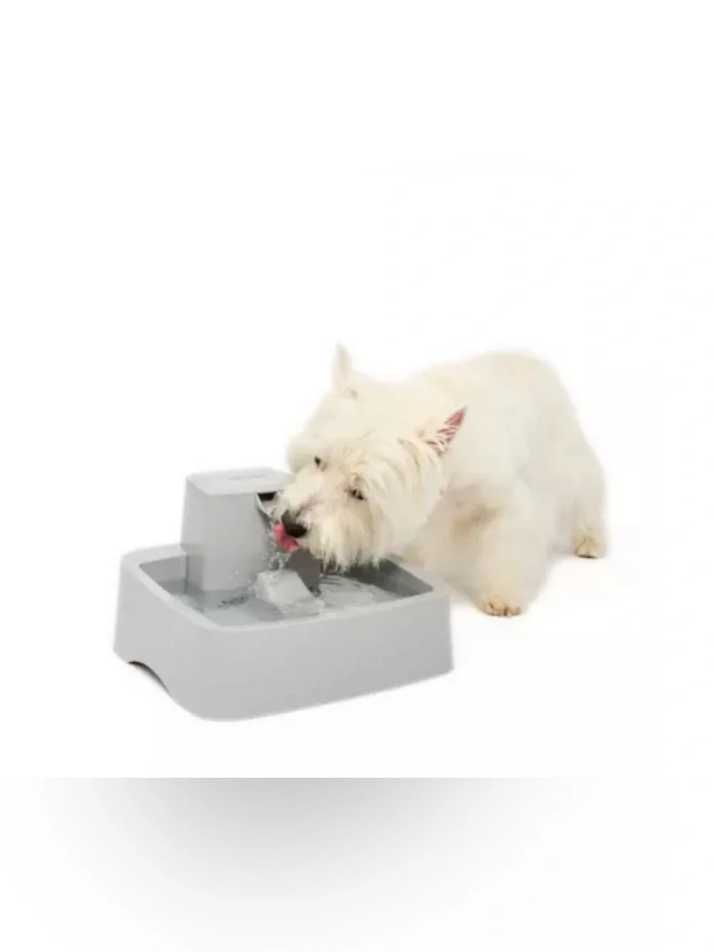 PetSafe® Drinkwell® Automatic Dog & Cat Pet Fountain Waterer, Filter, Gray,1 GAL